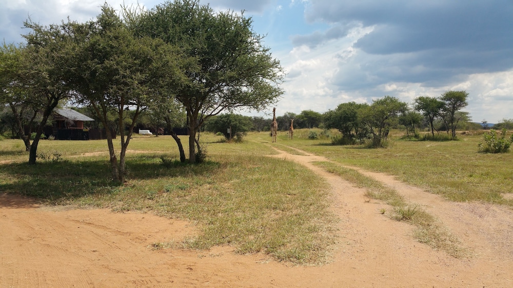 Grootgeluk Bush Camp