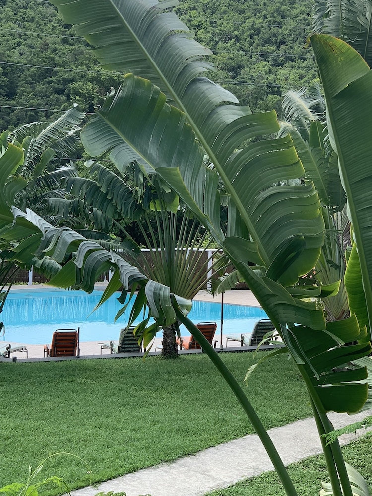 Flamboyan on the Bay Resort and Villas, photo 19
