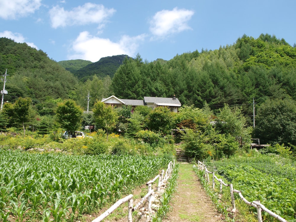 Geum Dang Lodge