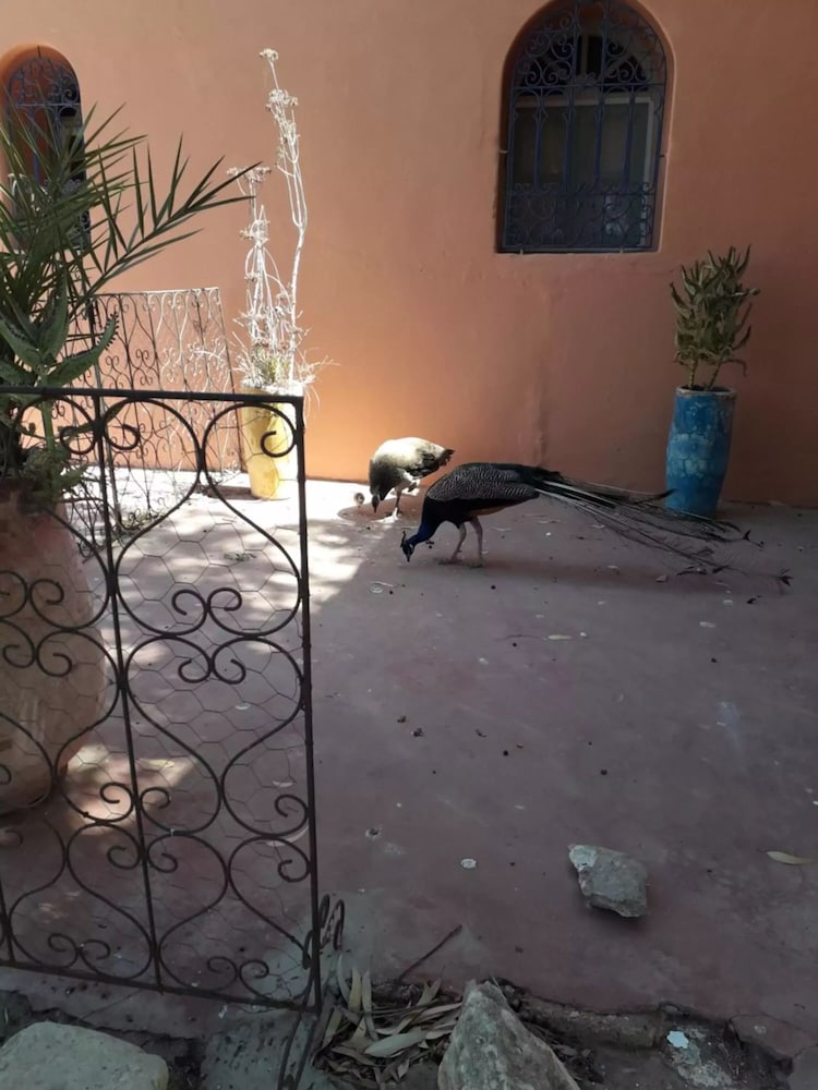 other