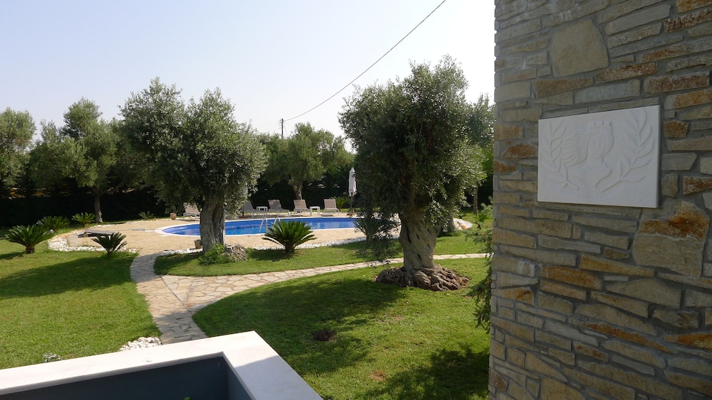 Photo 41