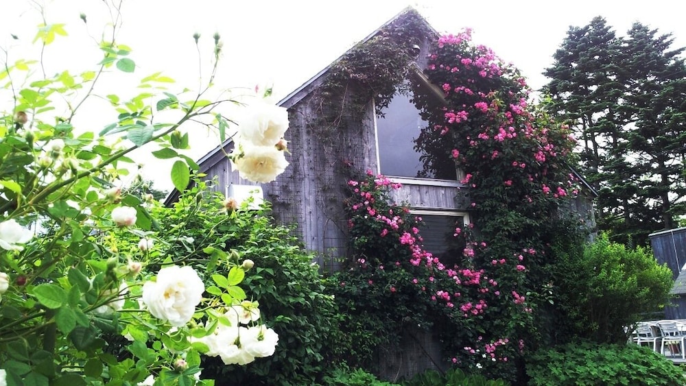 GARDEN SHED