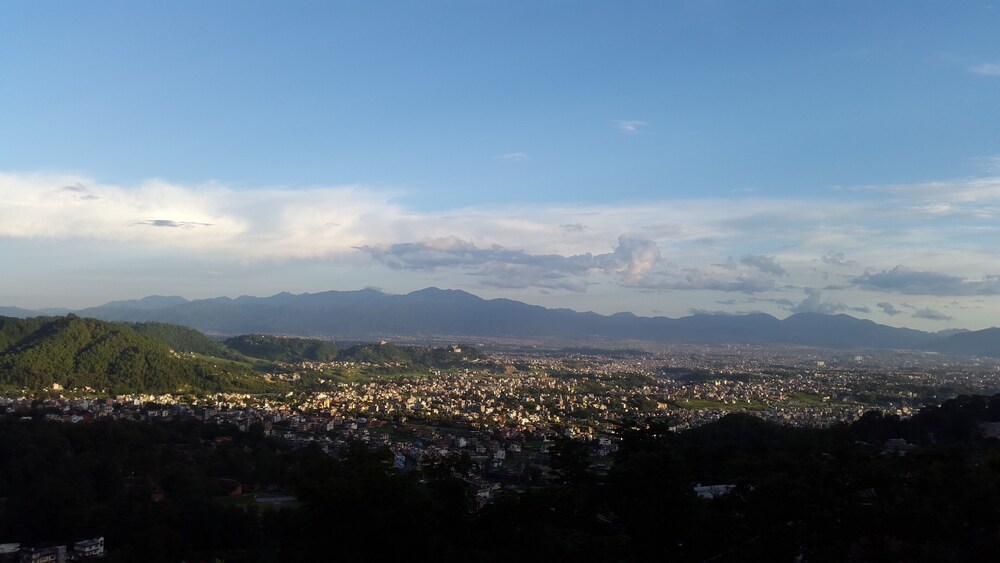 Photo 46