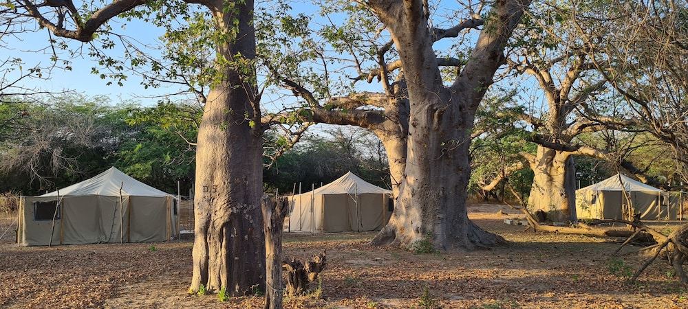 Ecolodge BAKSUNGAN
