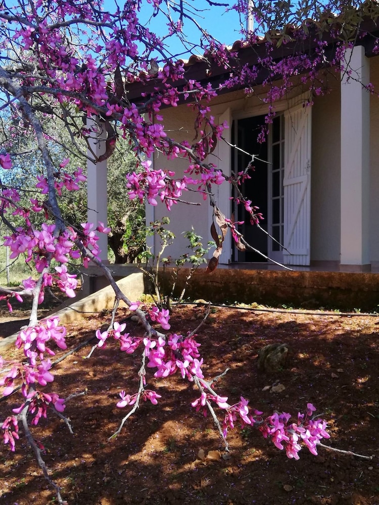 Agrilis Cottage Near the Beach
