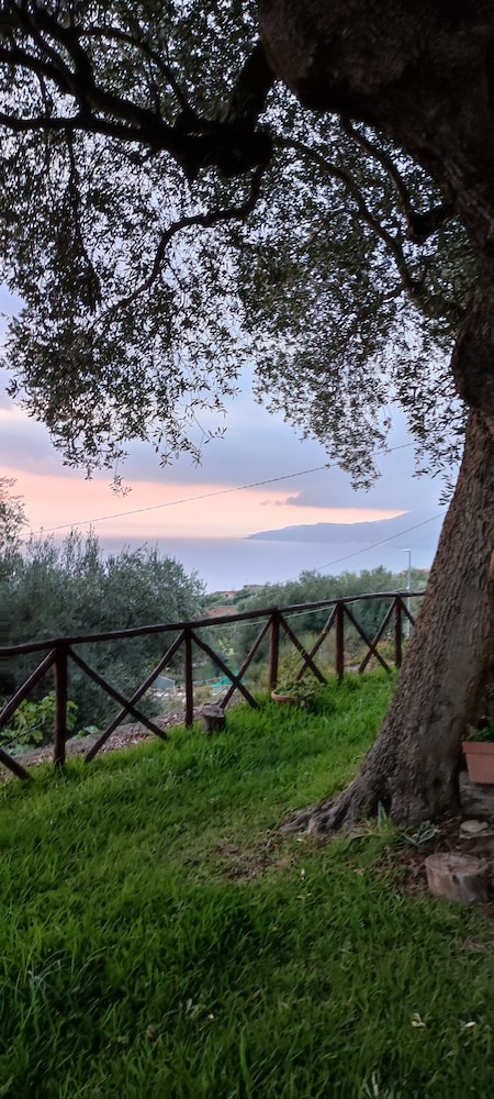 AGRITURISMO  LA FOCAZZA
