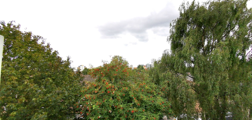Photo 27