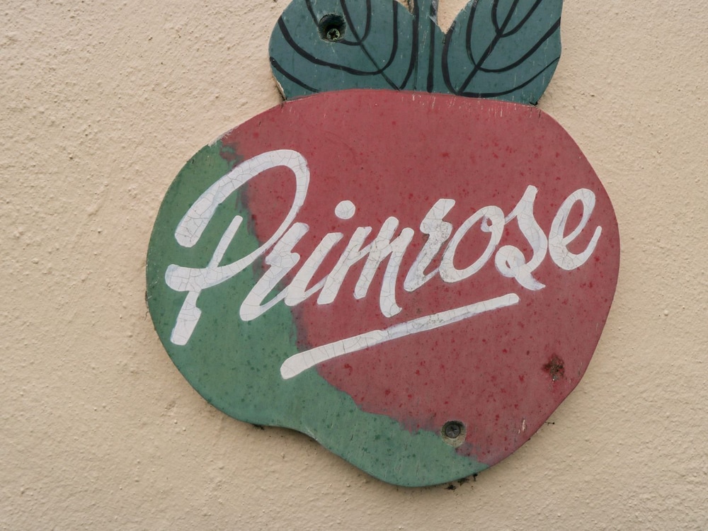 Primrose