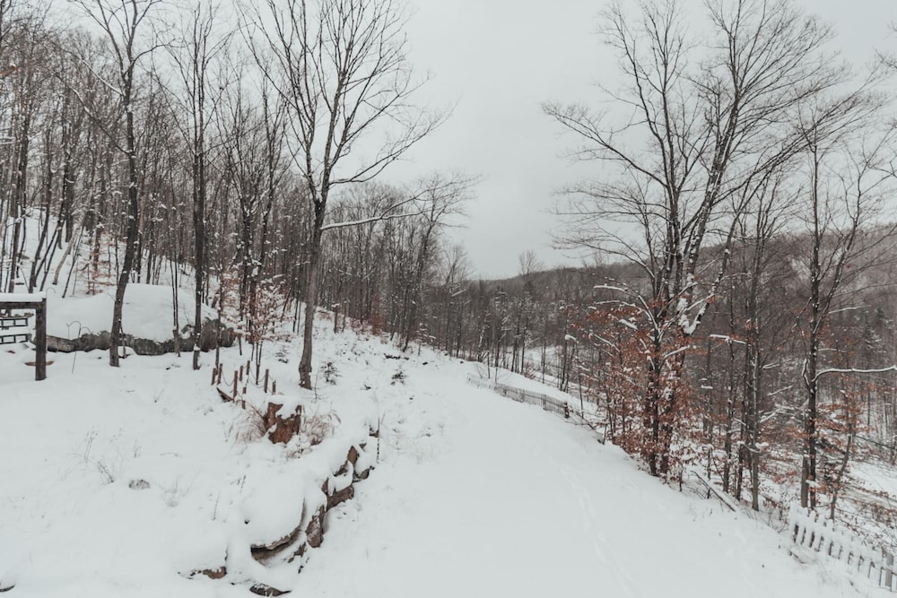 The Pika - Beautiful Mountain-top Cottage With 23 Acres of Private Land With Hiking