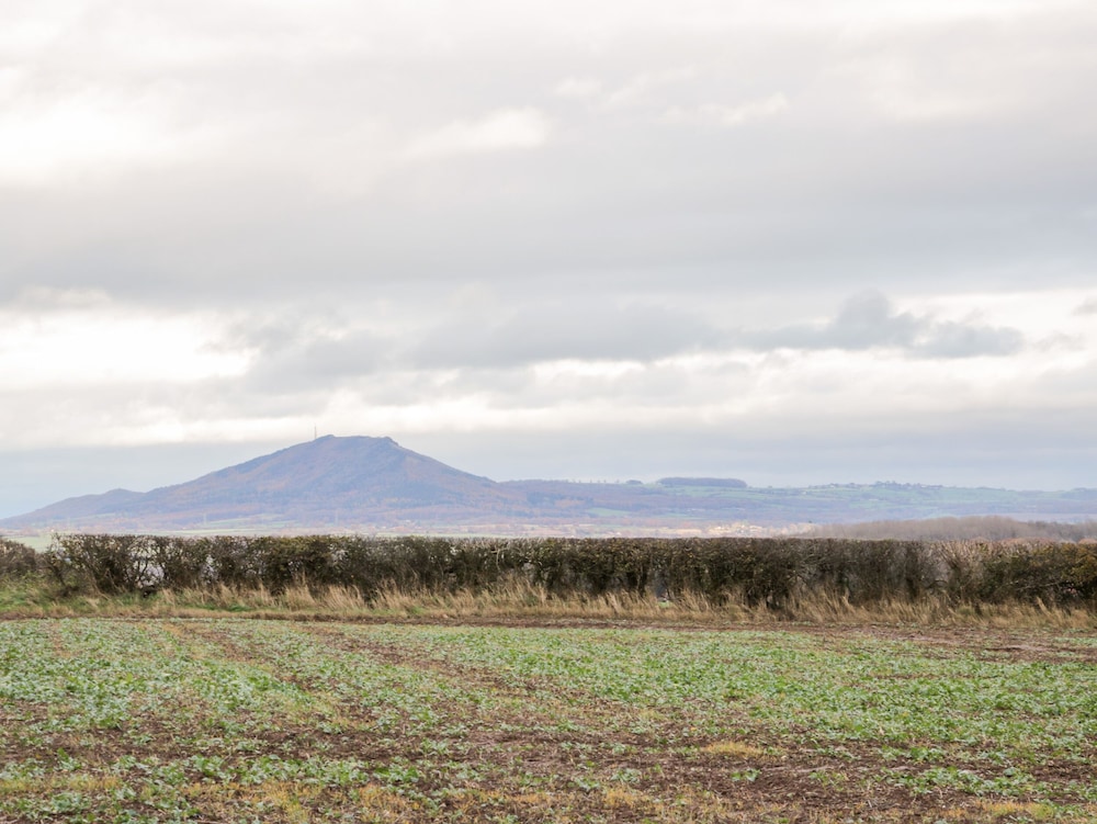 Windy Mundy Farm