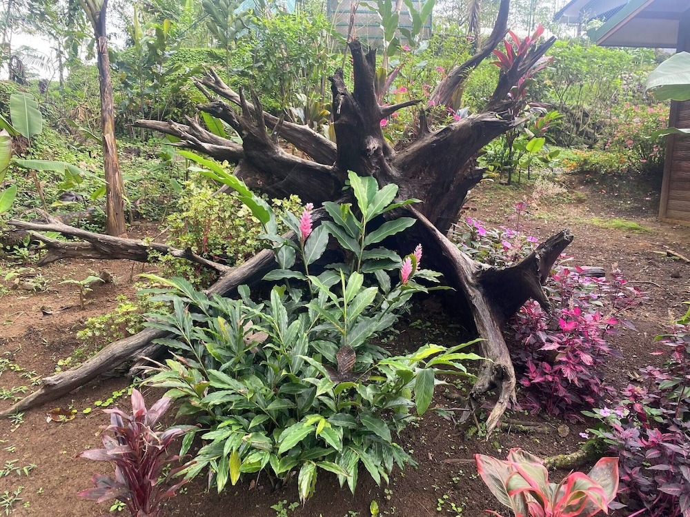 Family Home - Pura Vidaville