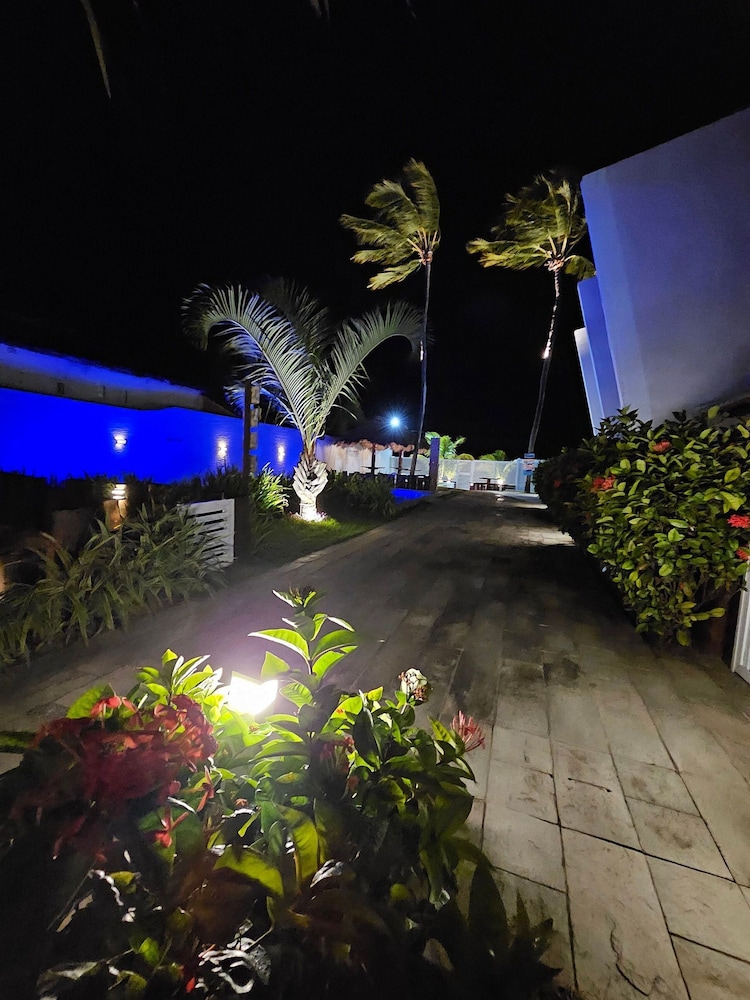 Photo 41