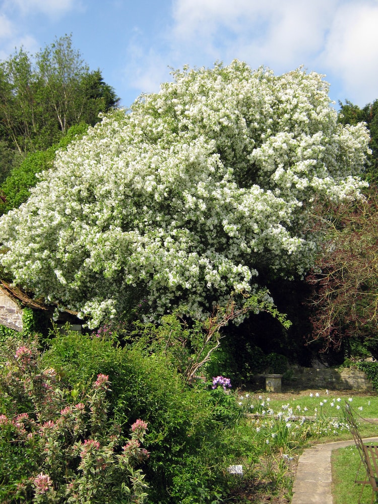 Hollamoor Farm B&B