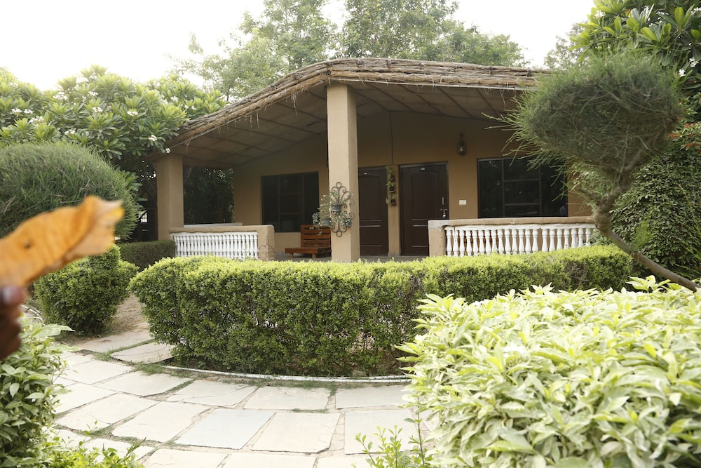 Outdoor Space