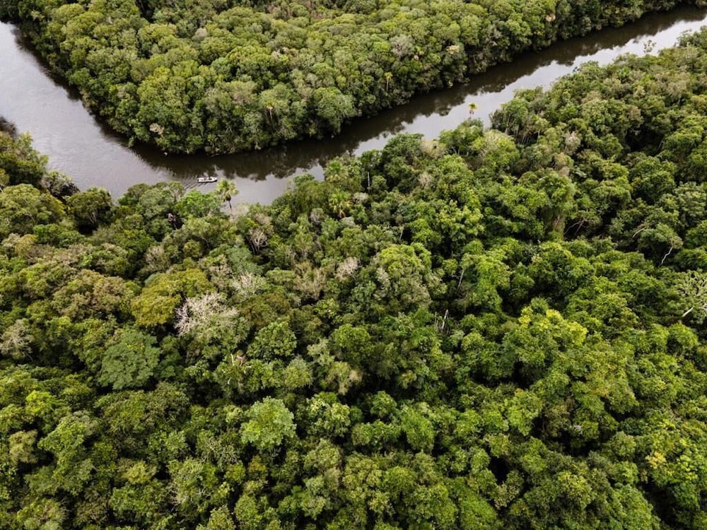 JARDIM DA AMAZONIA LODGE