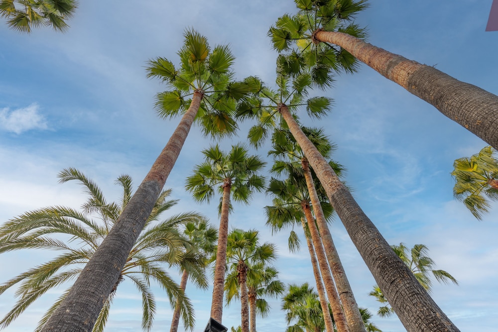 Meryan Otel - Her Şey Dâhil - Image 27