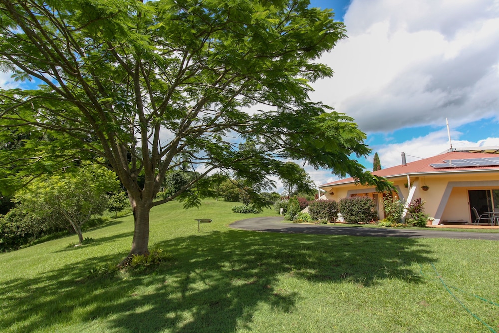 A View of Mt Warning B&B