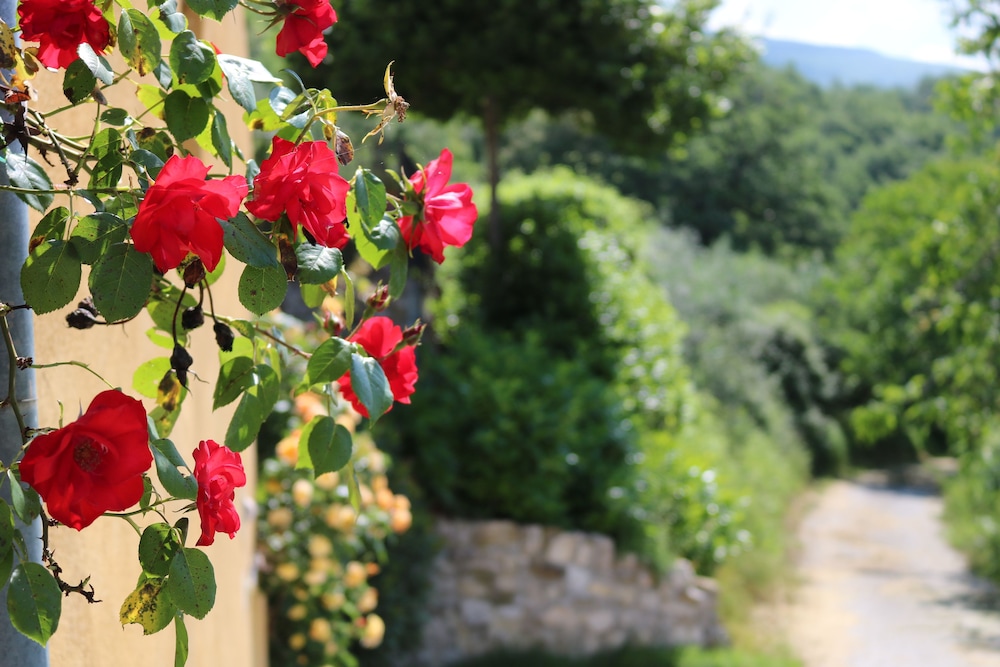other
