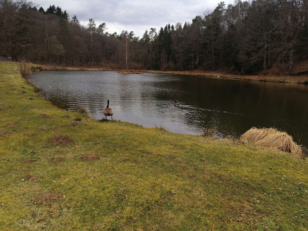 Photo 47