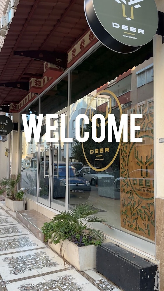 Deer Hotel & Hostel