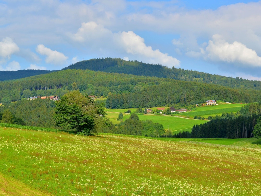 Comfort Apartment With Balcony in the Beautiful Bavarian Forest