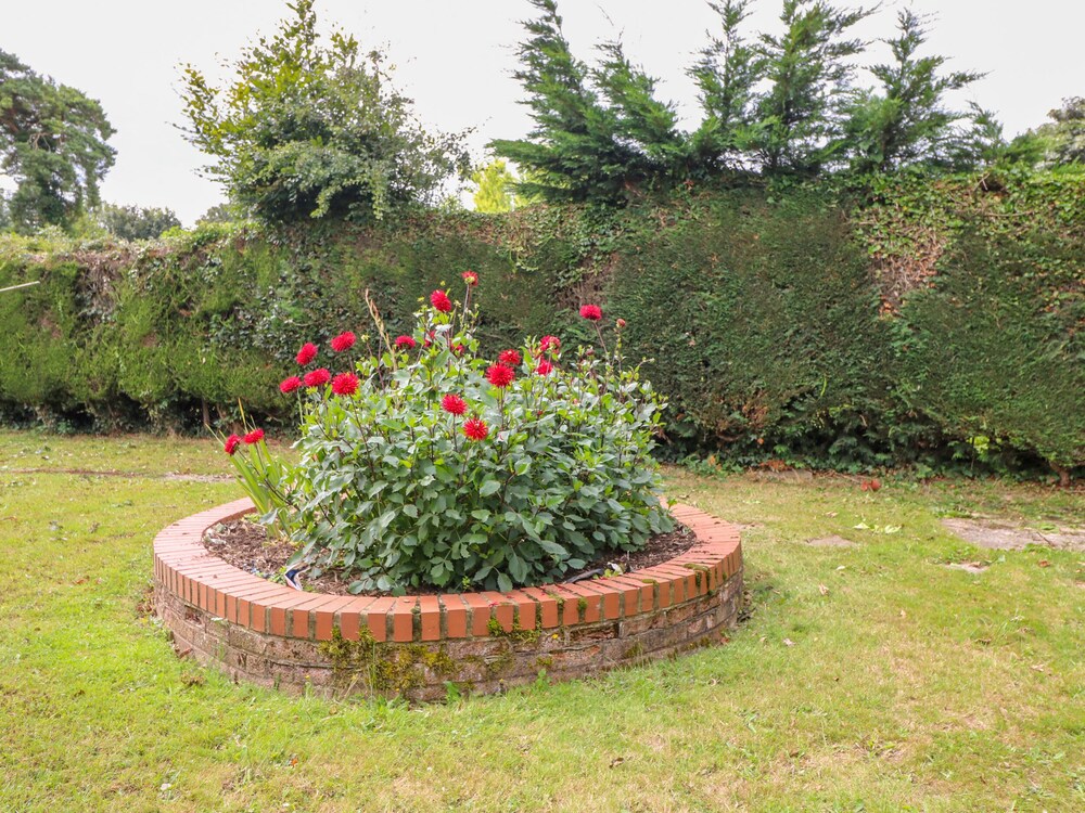 Photo 28