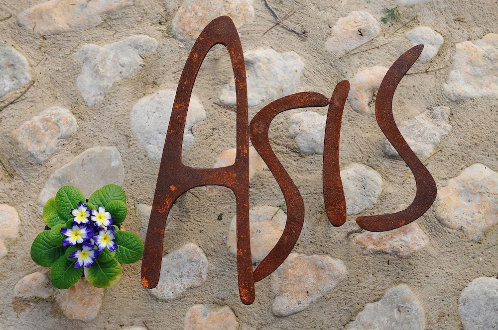 Asis de Marratxinet