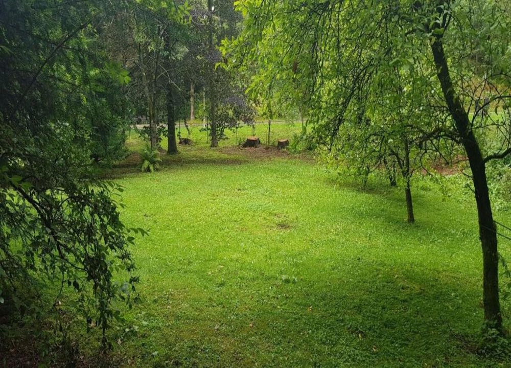 Charmantes Refugium, Harz
