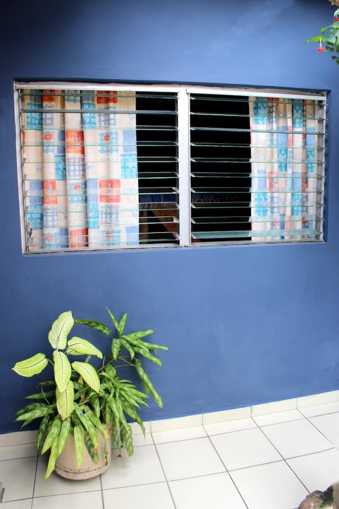 Photo 44