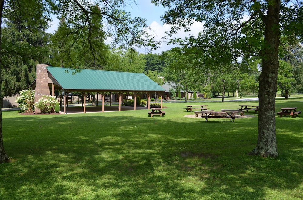 Foggy Mountain Lodge