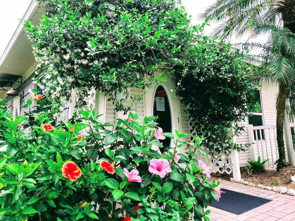 Hotel Sanibel Siesta on the Beach - Image 1