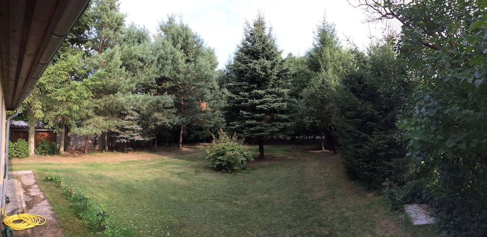 Ferienhaus Mirow-Lärz - Kamin Wald Ruhe