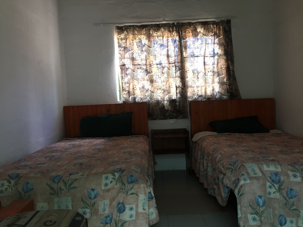 Alfa Accommodation