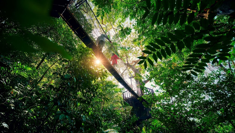 Shangri-La Rasa Ria, Kota Kinabalu 78