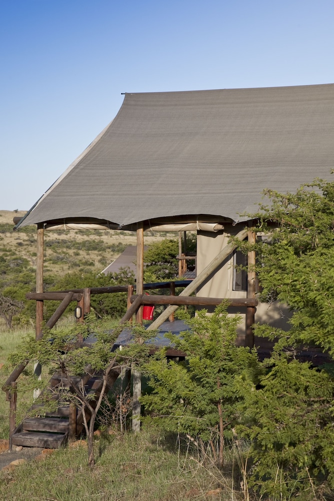 The Springbok Lodge