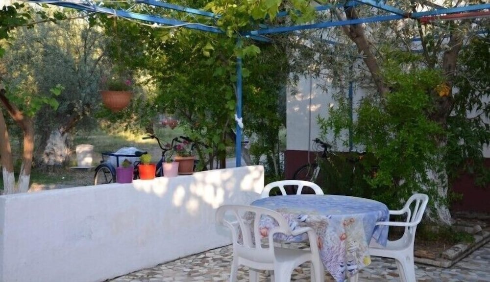 Photo 11