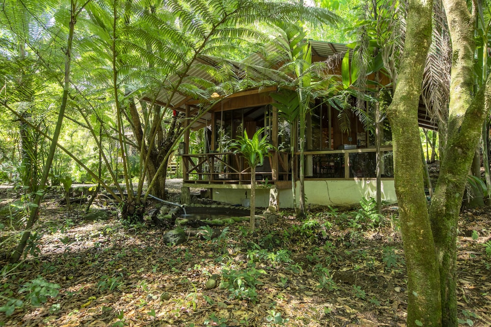 Cabañas del Lago