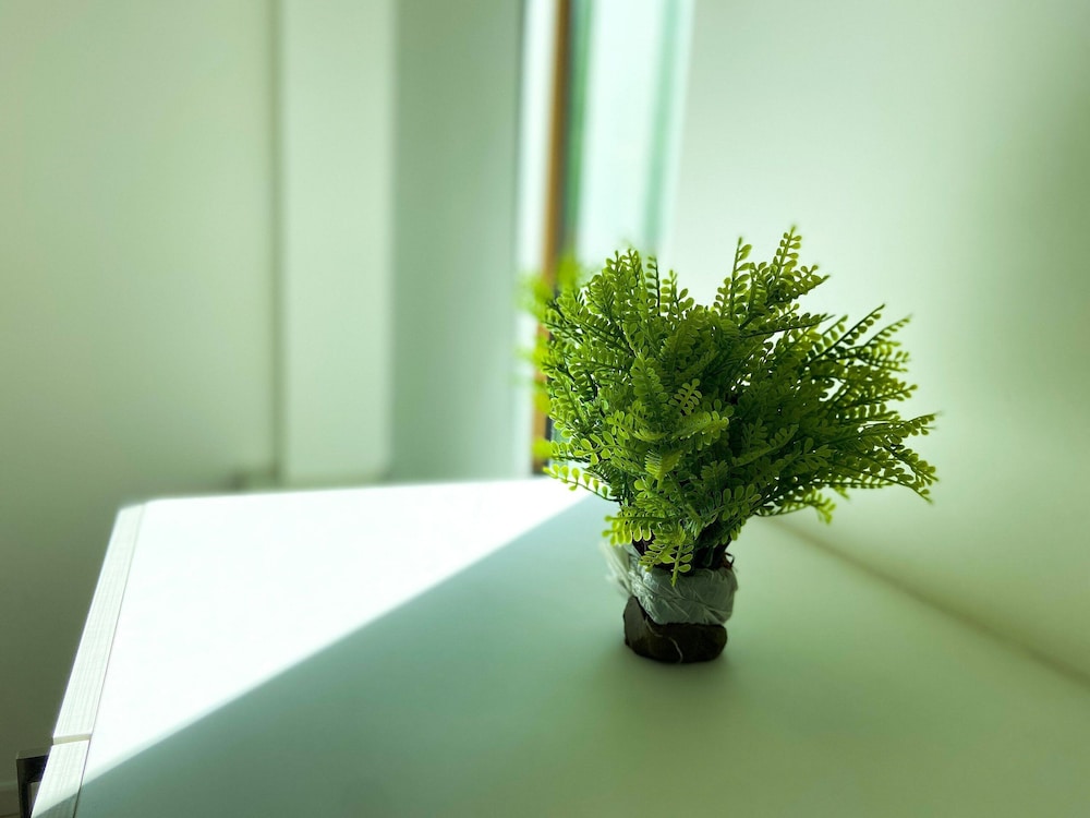 Photo 36