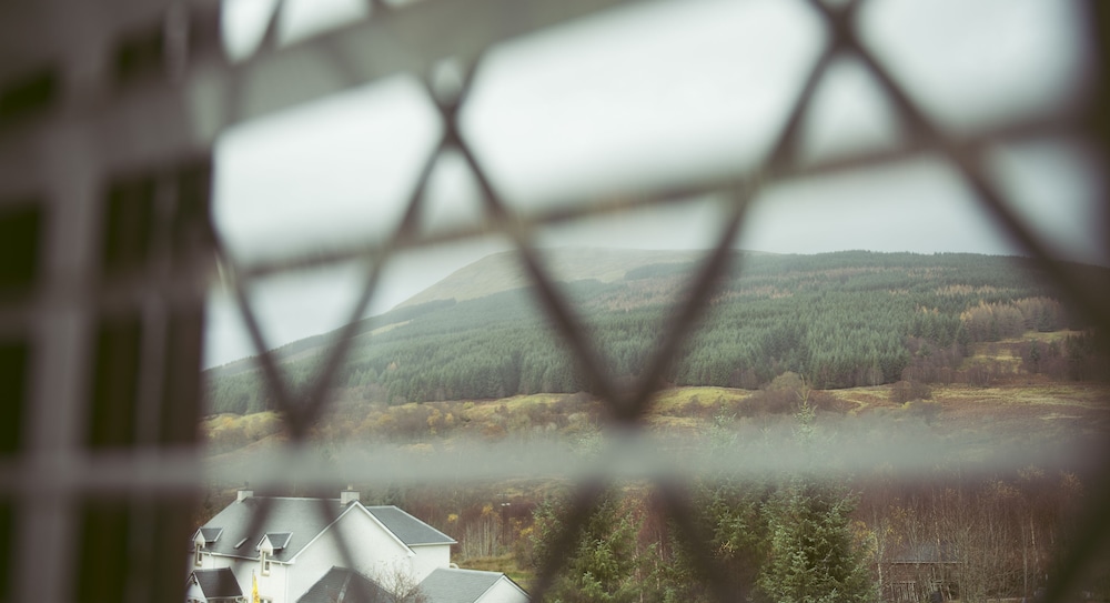 The Golden Larches Cafe and B&B