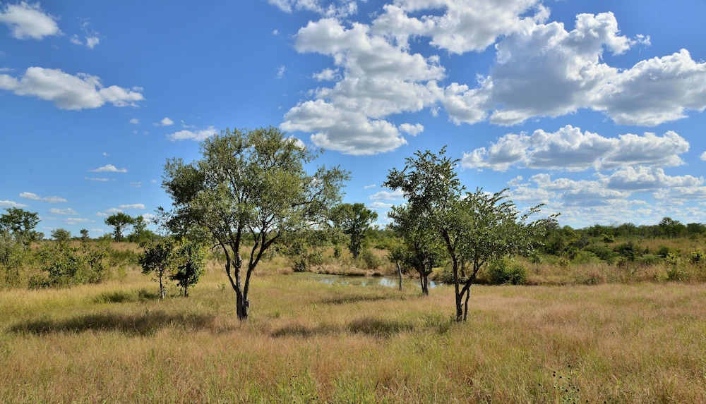 Wildtrack Safaris Eco Lodge