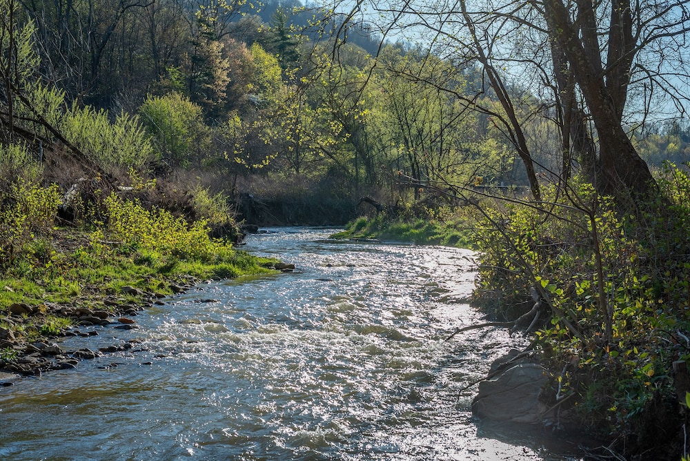 Engadine Inn  Cabins - Property Image 59