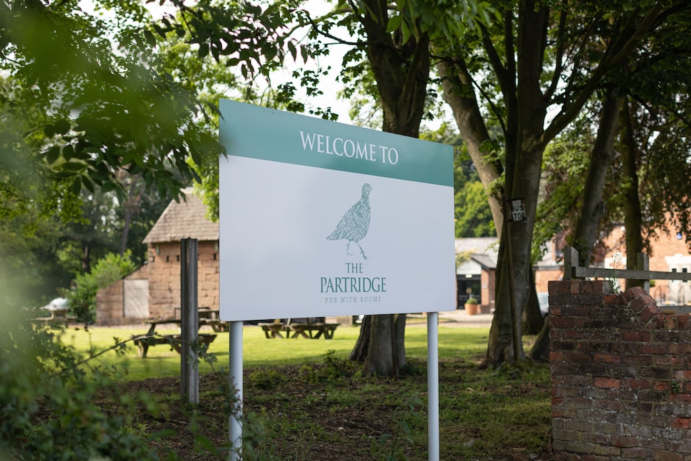 The Partridge