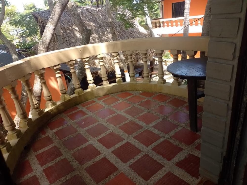 Las acacias Tolu