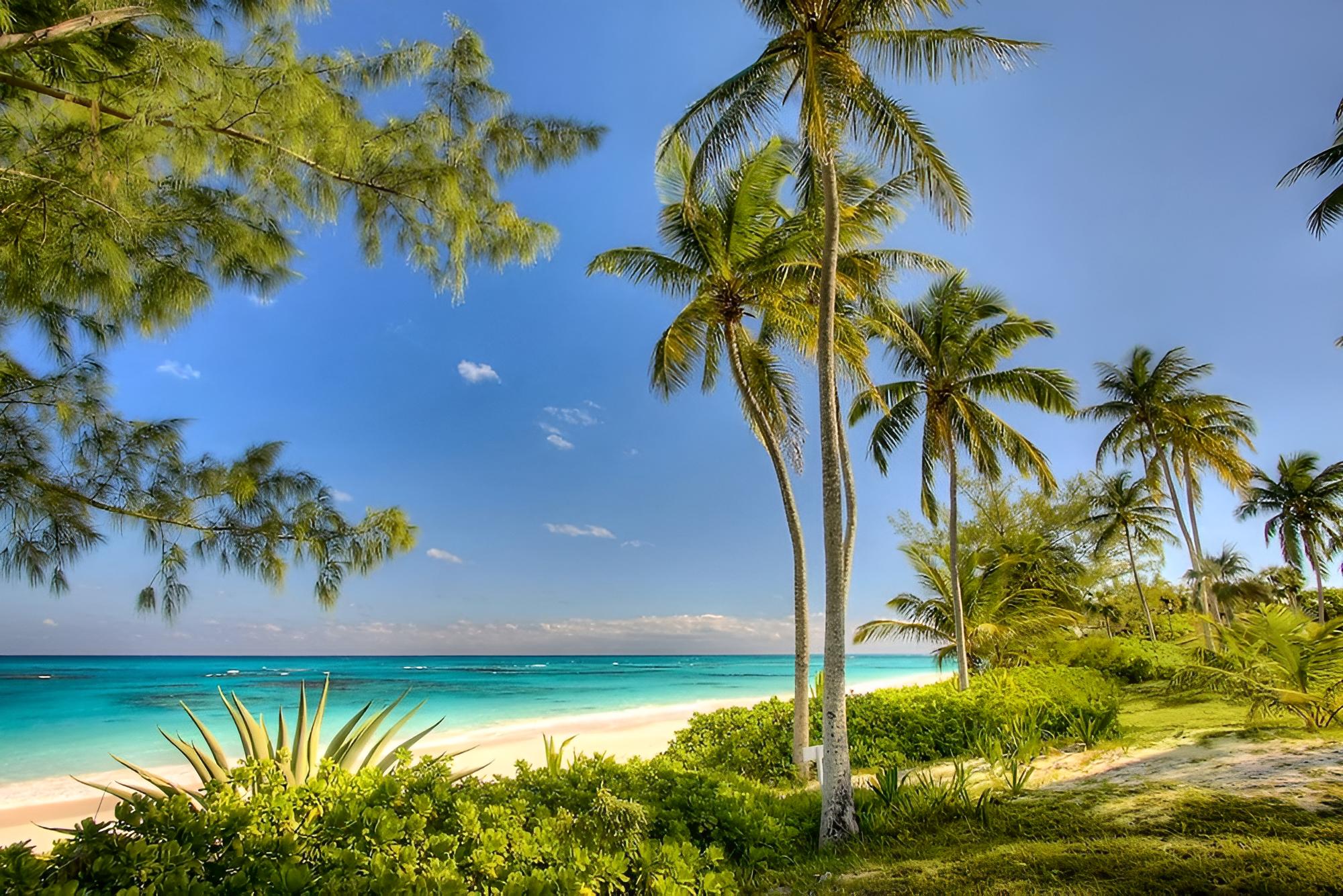 Seven Palms