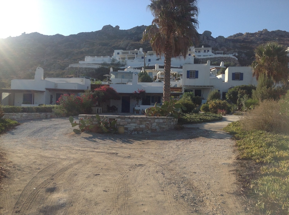 Photo 8