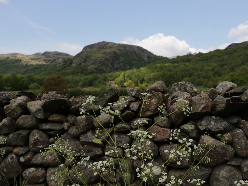 The Bothy