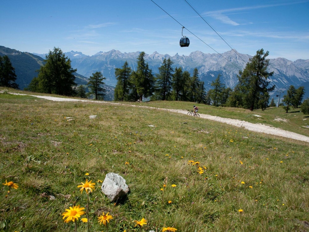 Diablerets D 010 -mountain Apartment 6 Pers