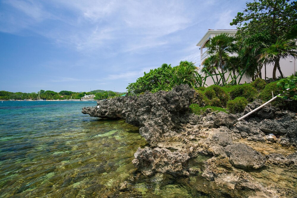 Coral Vista 3