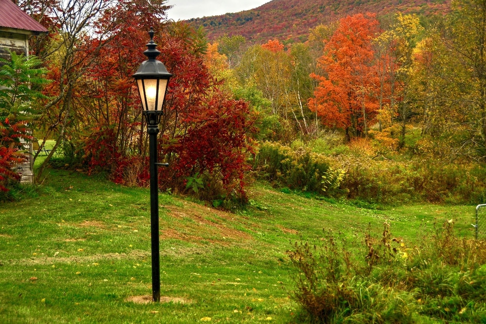 Mountain Treasure B&B