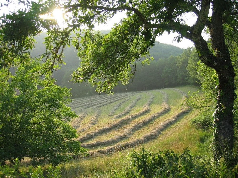 Le Gîte étoilé view 5